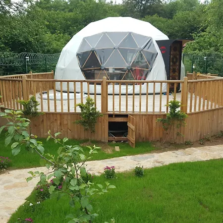 Vira Dome Ağva